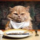 สมาชิกหมายเลข 4332816