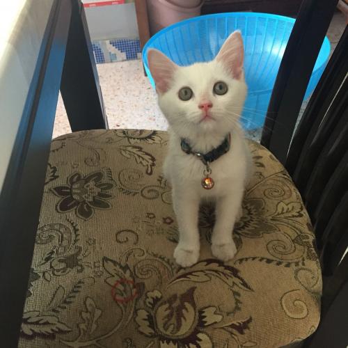 สมาชิกหมายเลข 4869317