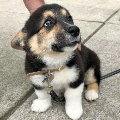 สมาชิกหมายเลข 5257165