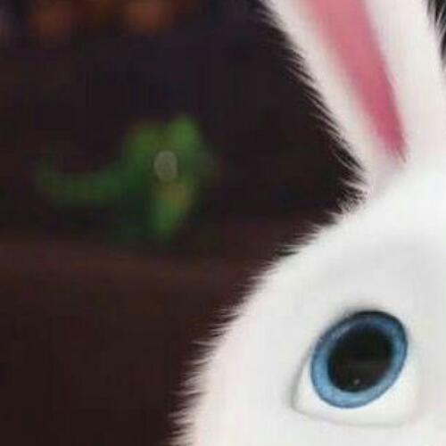 สมาชิกหมายเลข 5696940