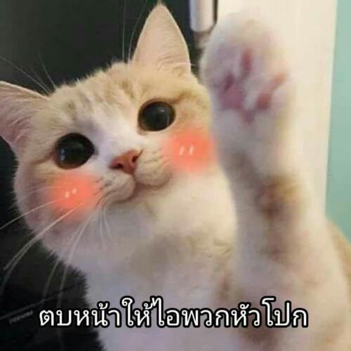 สมาชิกหมายเลข 5697009