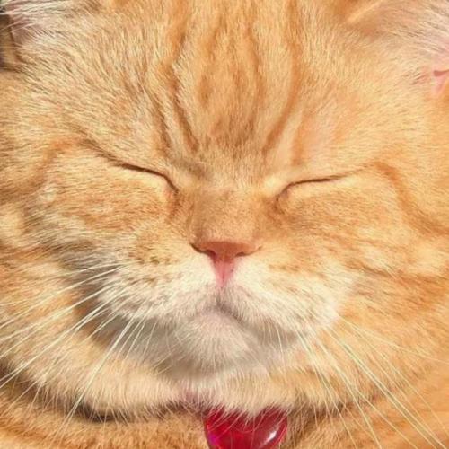 สมาชิกหมายเลข 1958762