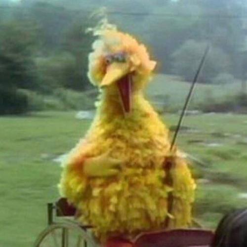 สมาชิกหมายเลข 5000102