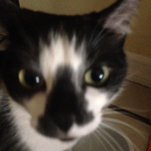 สมาชิกหมายเลข 6159010