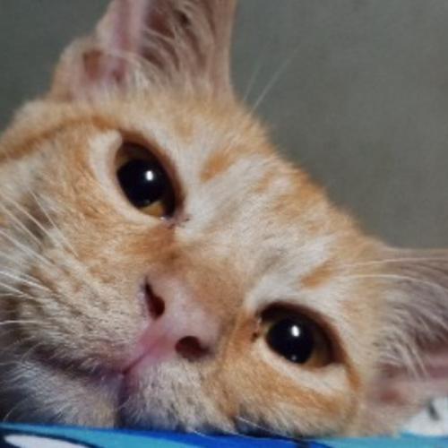 สมาชิกหมายเลข 7652396