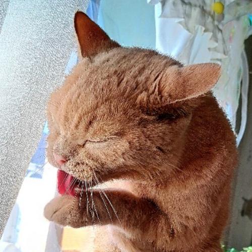 สมาชิกหมายเลข 2104867