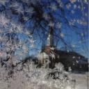 สมาชิกหมายเลข 2924038