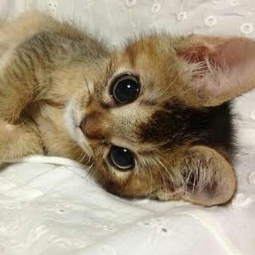 สมาชิกหมายเลข 3813220