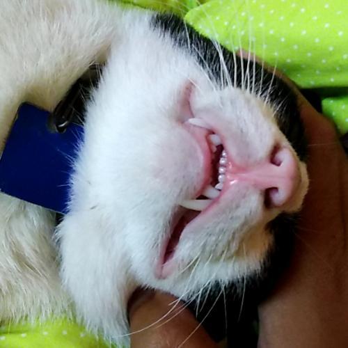 สมาชิกหมายเลข 4571625