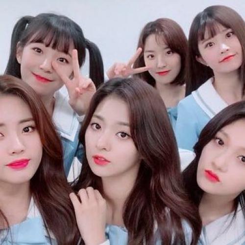 สมาชิกหมายเลข 5066645