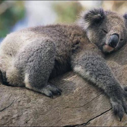 สมาชิกหมายเลข 5659828