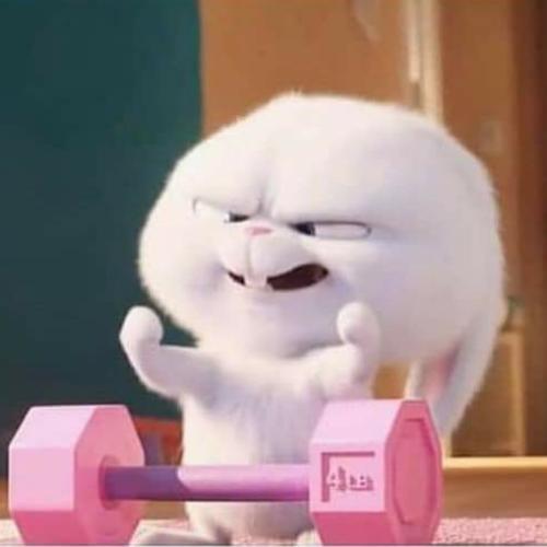 สมาชิกหมายเลข 6282143