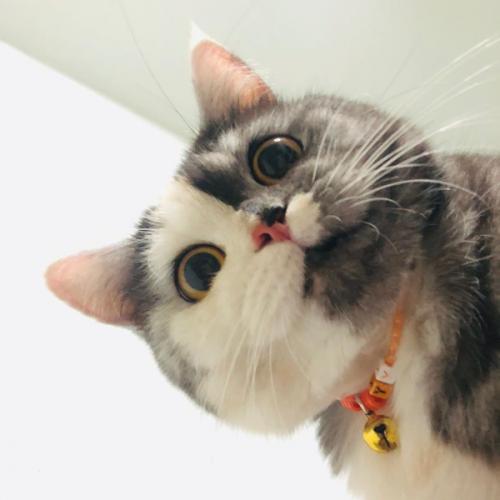 สมาชิกหมายเลข 6282586