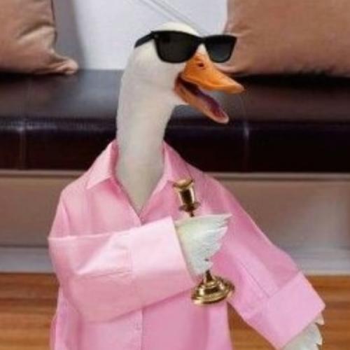 สมาชิกหมายเลข 5649880