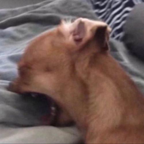 สมาชิกหมายเลข 5600370