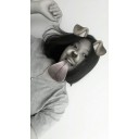 สมาชิกหมายเลข 4037952