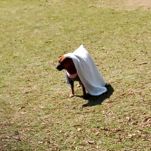 สมาชิกหมายเลข 4471507