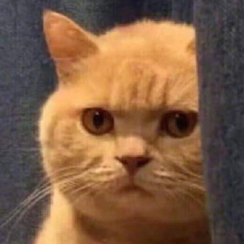 สมาชิกหมายเลข 4870028