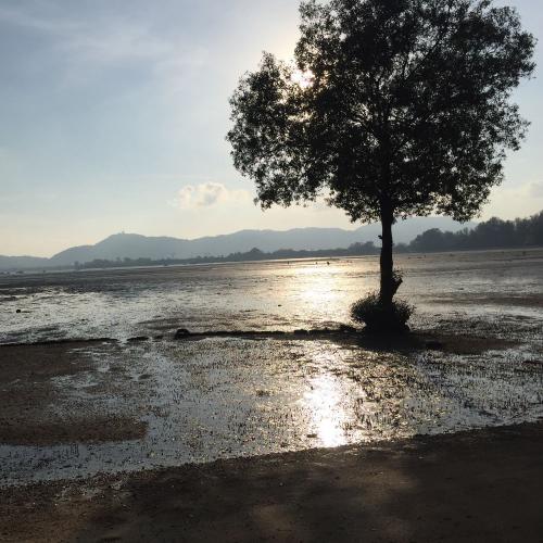 สมาชิกหมายเลข 5179176