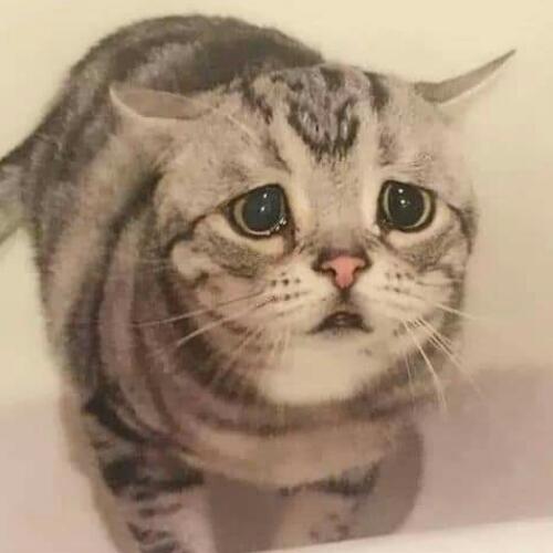 สมาชิกหมายเลข 5260095