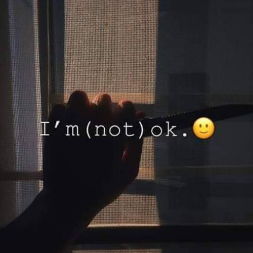 สมาชิกหมายเลข 5260928