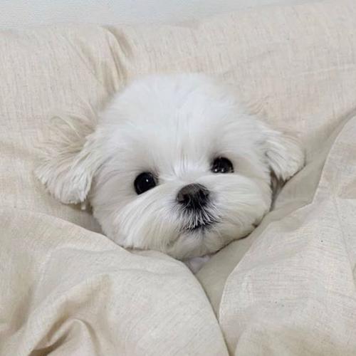 สมาชิกหมายเลข 3913472