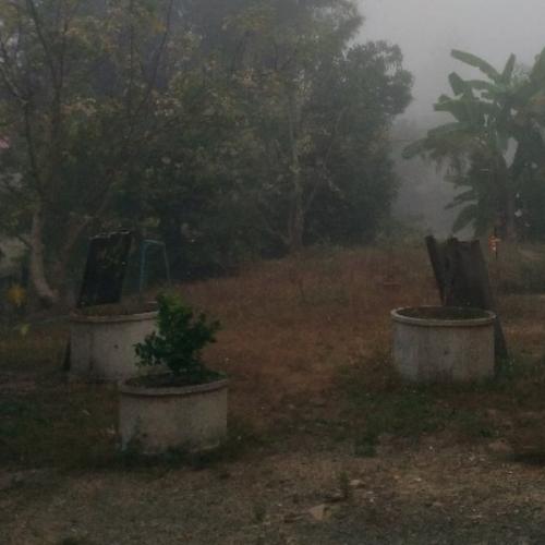 สมาชิกหมายเลข 5035713