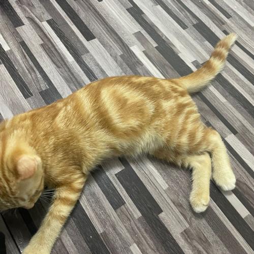 สมาชิกหมายเลข 6946974