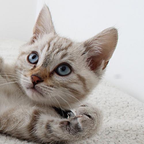 สมาชิกหมายเลข 3742321