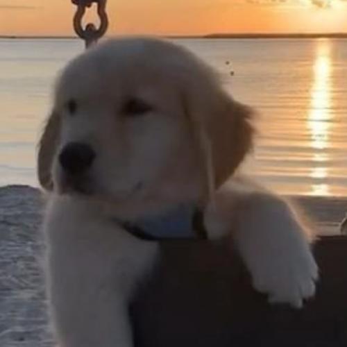 สมาชิกหมายเลข 7710965