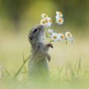 สมาชิกหมายเลข 1223453