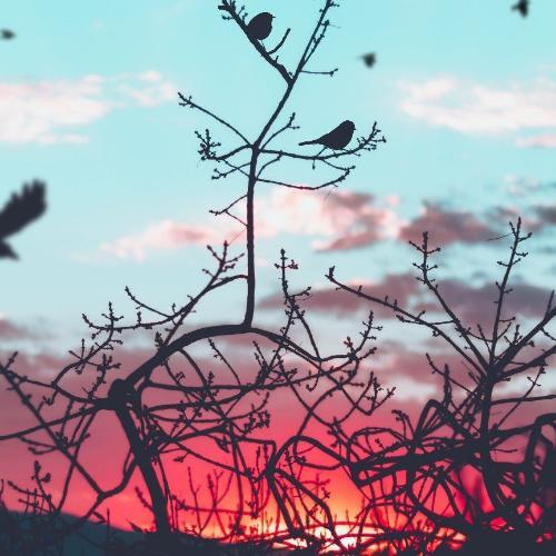 สมาชิกหมายเลข 4403907