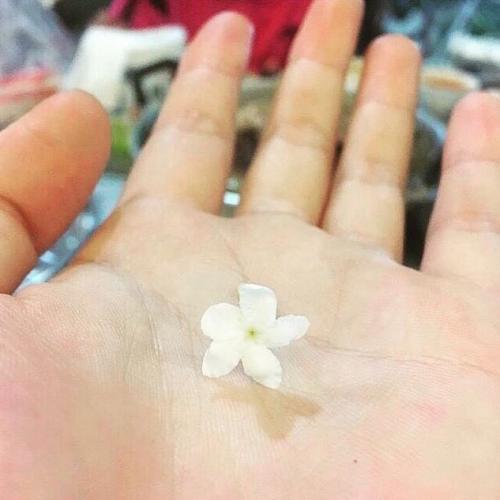 สมาชิกหมายเลข 5261167