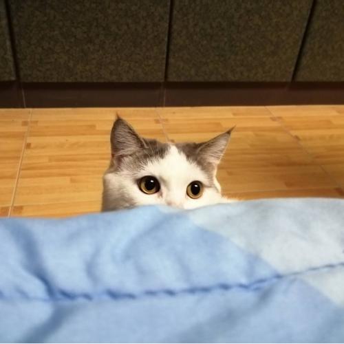 สมาชิกหมายเลข 1976324