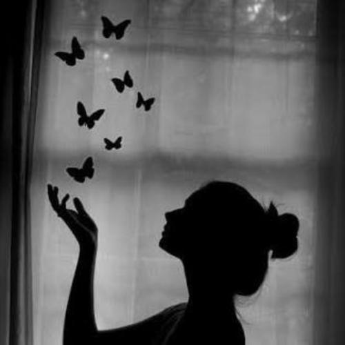 สมาชิกหมายเลข 5698226