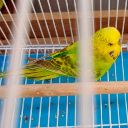 สมาชิกหมายเลข 5698262