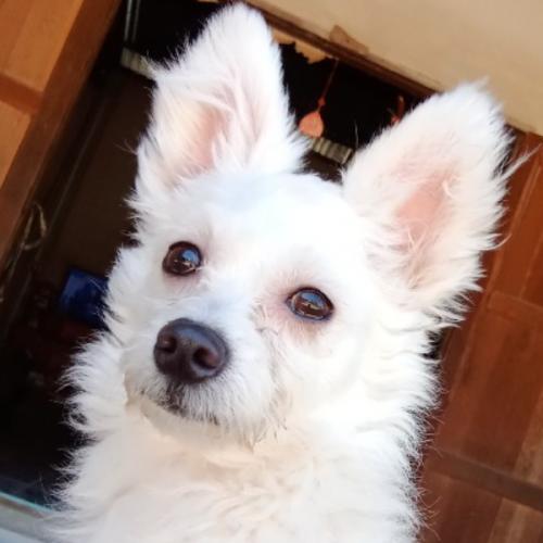 สมาชิกหมายเลข 6280521