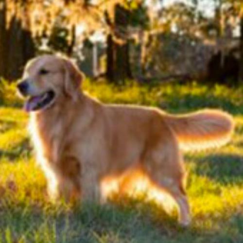 สมาชิกหมายเลข 2869578