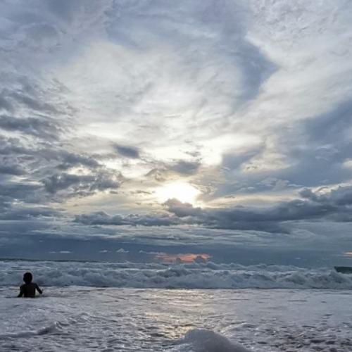 สมาชิกหมายเลข 4455575