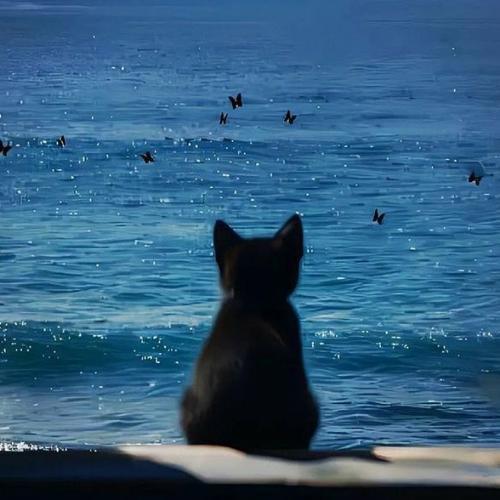 สมาชิกหมายเลข 7838777