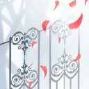 สมาชิกหมายเลข 4088549