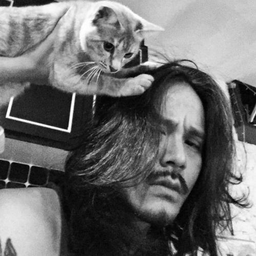 สมาชิกหมายเลข 4531691