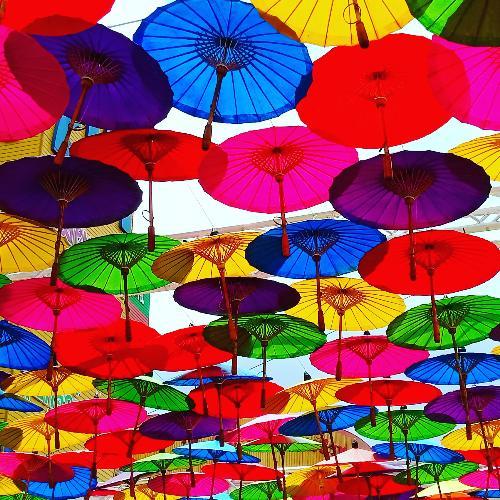 สมาชิกหมายเลข 4870662