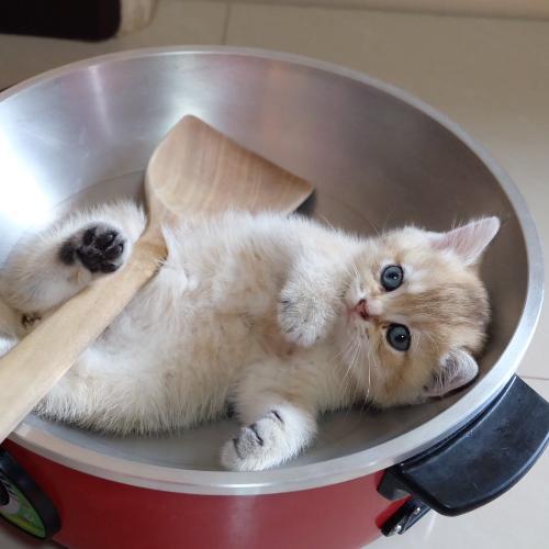 สมาชิกหมายเลข 5261032