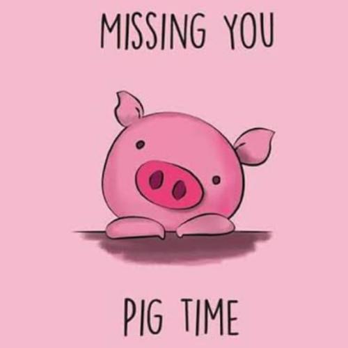 สมาชิกหมายเลข 5261713