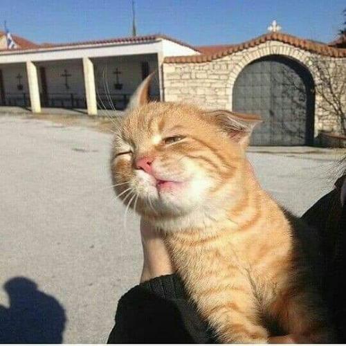 สมาชิกหมายเลข 5261795