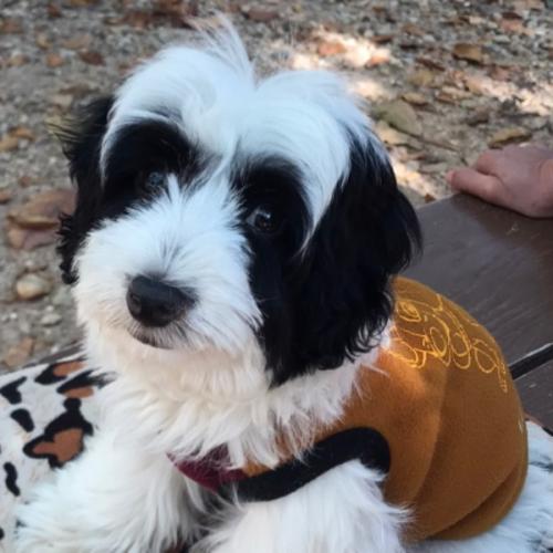 สมาชิกหมายเลข 6949022