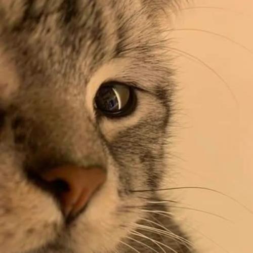 สมาชิกหมายเลข 6949384