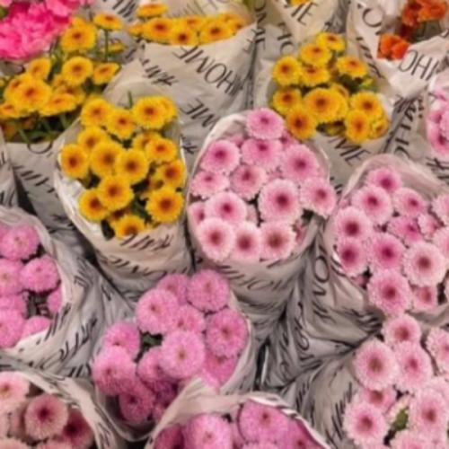 สมาชิกหมายเลข 7713056