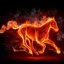 ผมมันคนเทาเทา